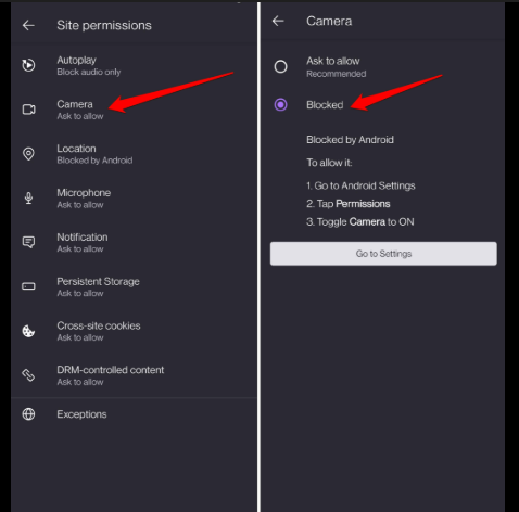 Camera & Mic Access View करें